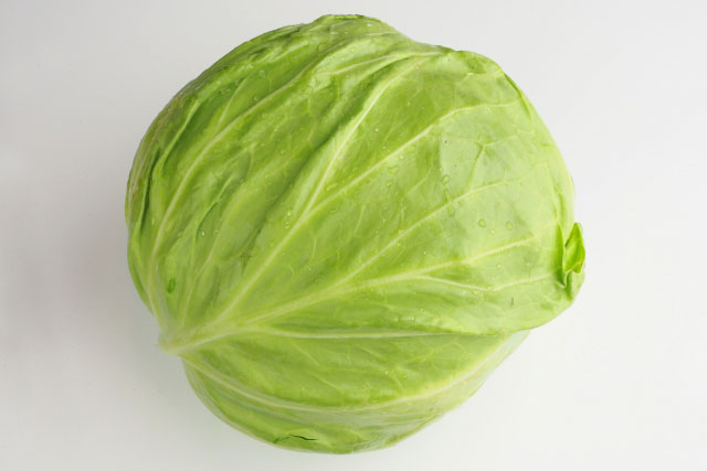 cabbage